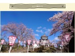 天守閣様式の展望台から咲き誇る桜を眺めよう！「よこて桜まつり」開催中【秋田自動車道 横手ICより車で約10.3km】