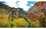 峡谷を彩る錦秋絵巻！ 初秋の層雲峡ドライブ