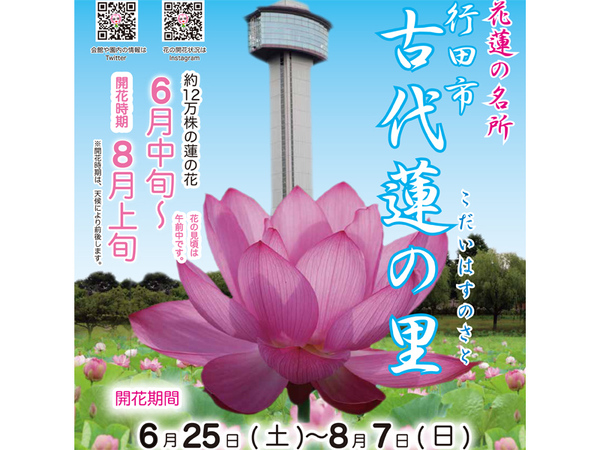 42種約12万株の蓮の花が見頃 埼玉県行田市 古代蓮の里 開花期営業 6月25日から 東北自動車道 羽生icより車で約10km Highway Walker