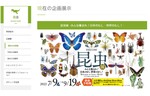日本の昆虫から世界の昆虫までその魅力を伝える！　ミュージアムパーク茨城県自然博物館で「昆虫展－みんな集まれ！日本のむし・世界のむし！－」を開催【常磐自動車道 谷和原ICから約9km】