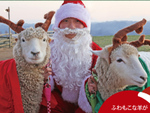 動物たちに癒やされるクリスマス！　マザー牧場でクリスマスイベント開催。12月17・18・24・25日の4日間限定【東関東自動車道 君津PA-君津スマートICから約10km】
