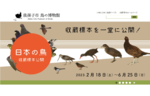 日本の鳥の多様性を紹介！　我孫子市 鳥の博物館で「日本の鳥コーナー 収蔵標本公開」を開催【常磐自動車道 柏ICから約12km】