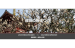 約500本の紅梅や白梅を見に行こう！　成田山公園で「成田の梅まつり」を開催【東関東自動車道 成田ICから約5km】