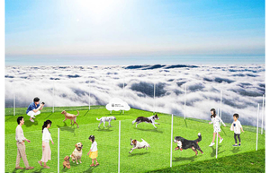 まるで愛犬が雲の上を走り回るように見えるドッグラン「雲海テラスドッグラン」【道東自動車道 トマムICから約6km】