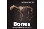 山形県立博物館、生物の骨格について学べる「Bones －生き物の骨格はどうなっているのか－」【東北中央自動車道 山形中央ICから約3.5km」