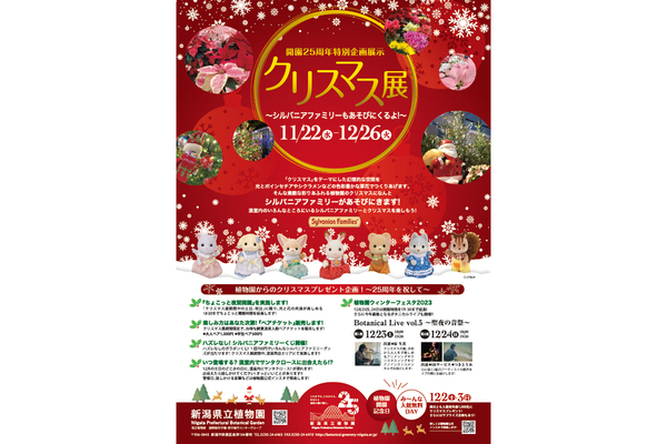 新潟県立植物園にてクリスマスイベントを開催中【磐越自動車道 新津IC