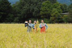 お米を育てて食べる農業体験「お米の学校」今年も実施【東北自動車道 那須ICから約10km】