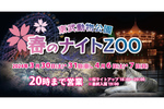 夜桜も楽しめる夜の動物園　東武動物公園「春のナイトZOO」3月30日より開催【東北自動車道 久喜ICから9km】